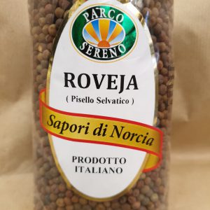 Pisello selvatico