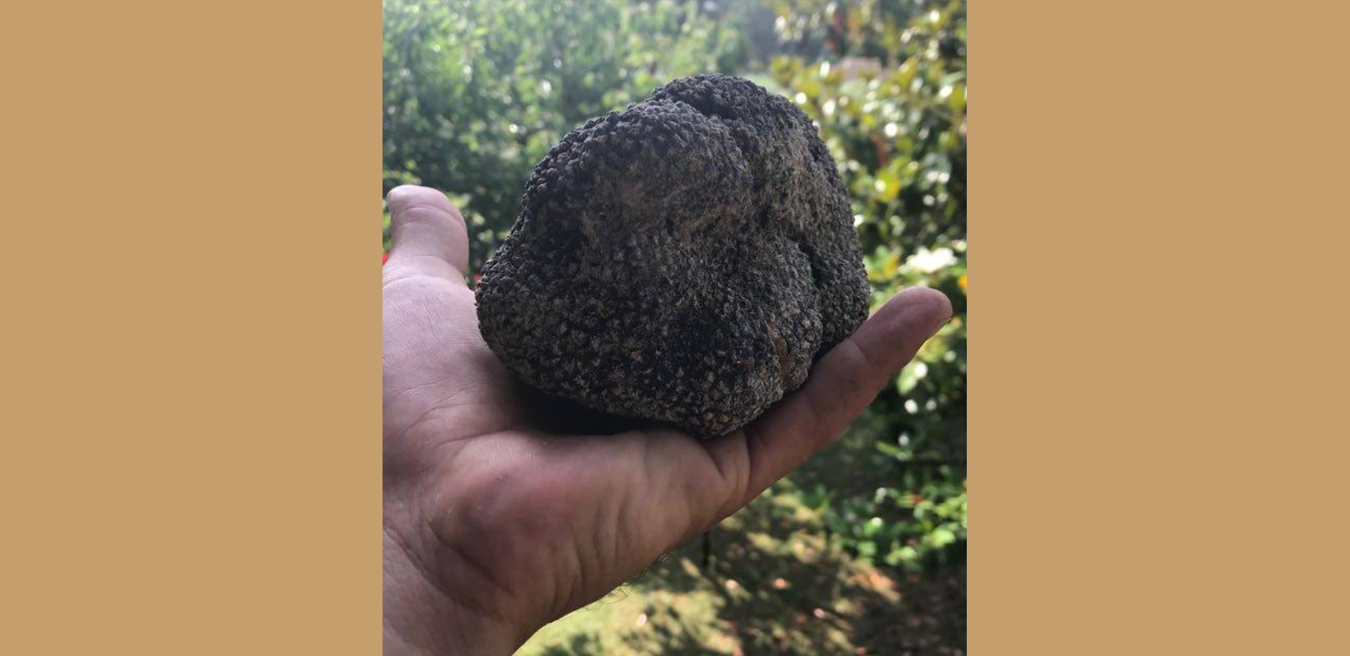 Emozioni Francescane tartufo Emozioni Francescane tartufo